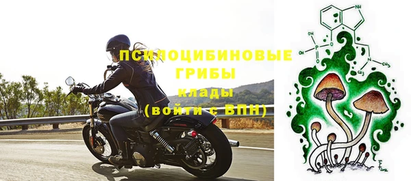 бошки Армянск