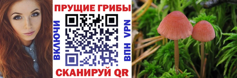 Галлюциногенные грибы прущие грибы  Скопин 